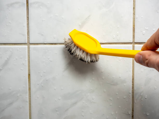 Best Black Mold Removal  in Rose Hill, NC