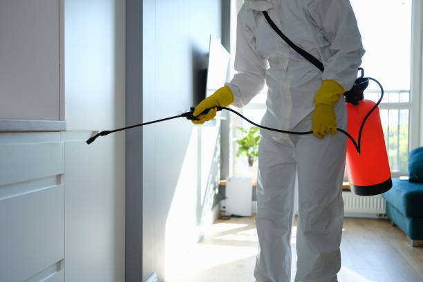 Mold Removal Process in Rose Hill, NC