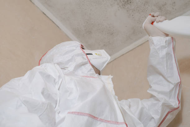 Rose Hill, NC Mold Removal Company